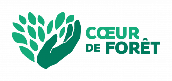 Cœur de Forêt